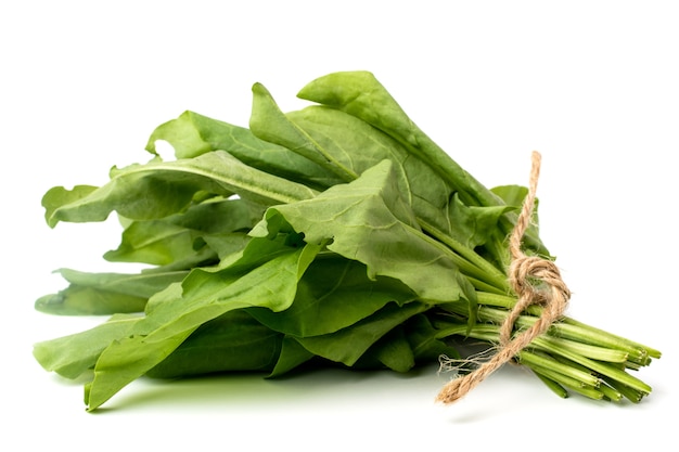 Fresh sorrel leaves on white, isolated. Close up.