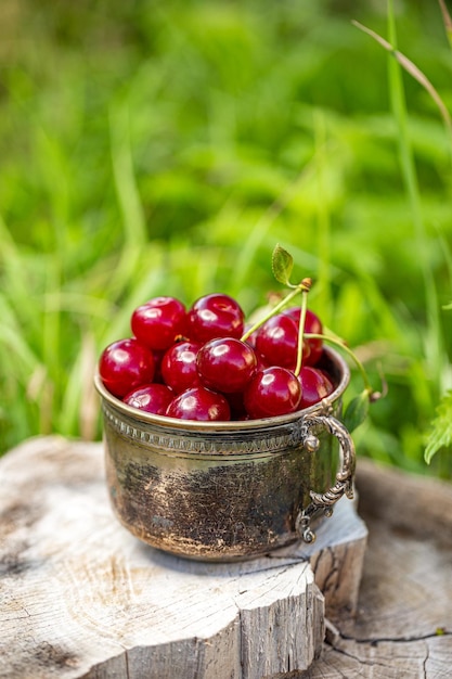 Fresh sour cherries