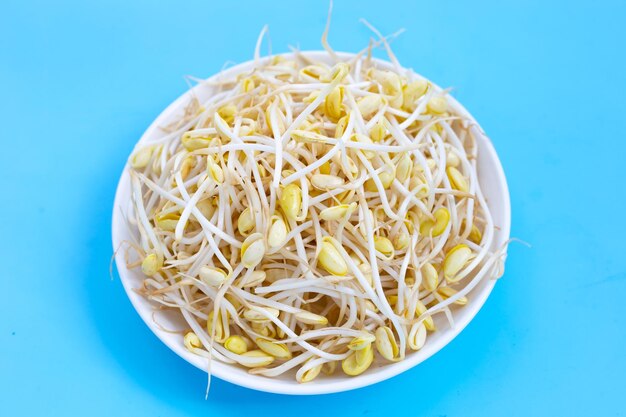 Fresh soybean sprouts for cooking