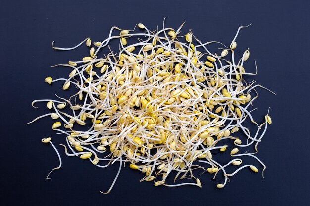Fresh soybean sprouts for cooking