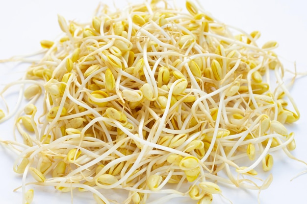 Fresh soybean sprouts for cooking