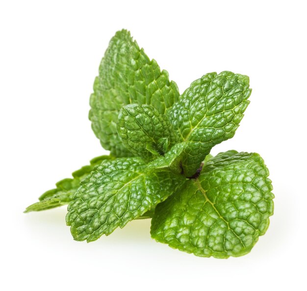 Fresh spearmint leaves isolated on white background