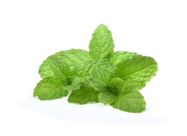 Fresh spearmint leaves isolated on white