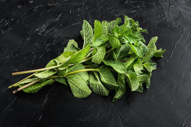 Fresh spearmint or mint leaves  set, on black stone background