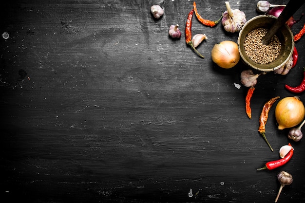 Fresh spices and herbs. The black chalkboard.