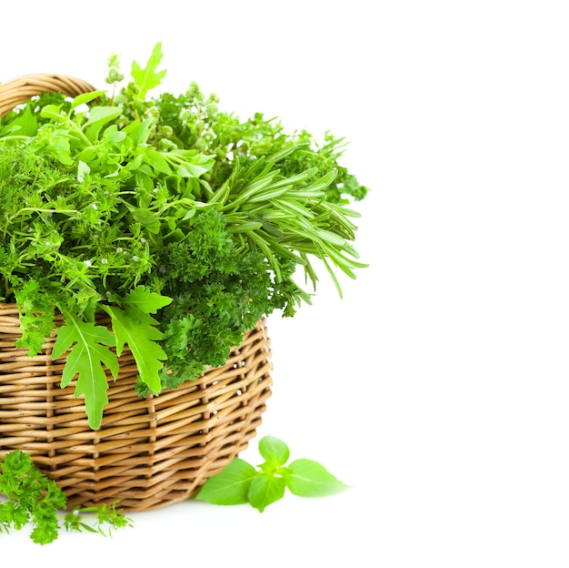 Fresh Spicy Herbs in Basket isolated on white