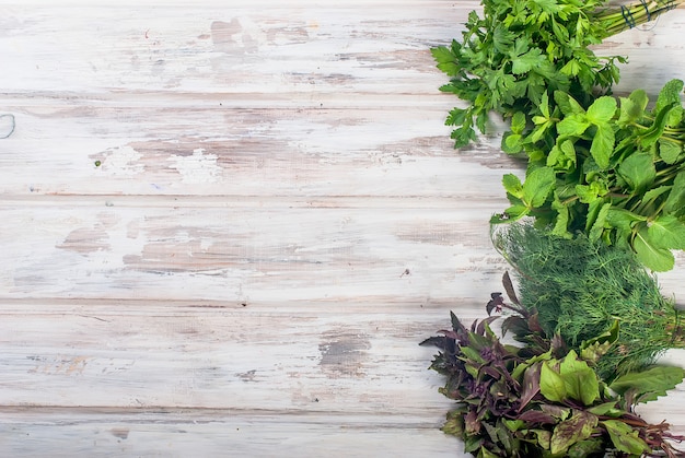 Fresh spicy herbs, dill, basil, parsley, mint