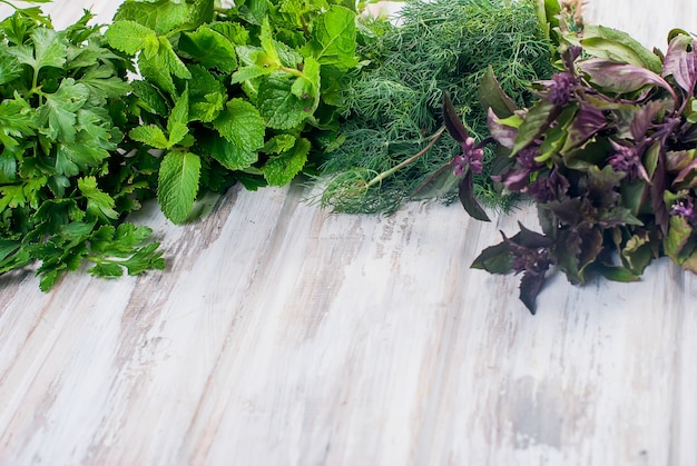 Fresh spicy herbs, dill, basil, parsley, mint