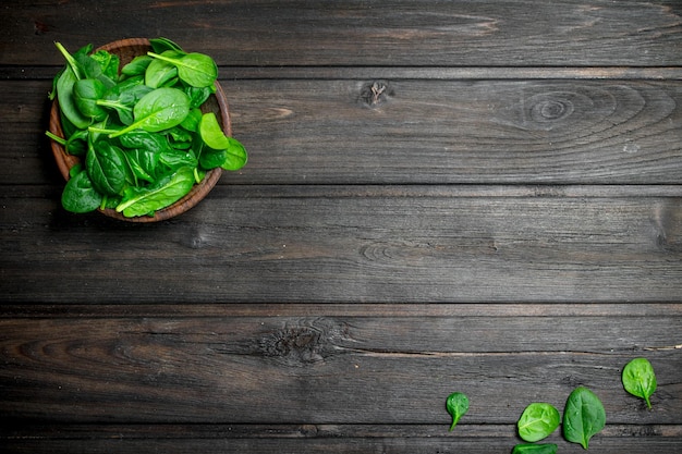 Fresh spinach in the bowl