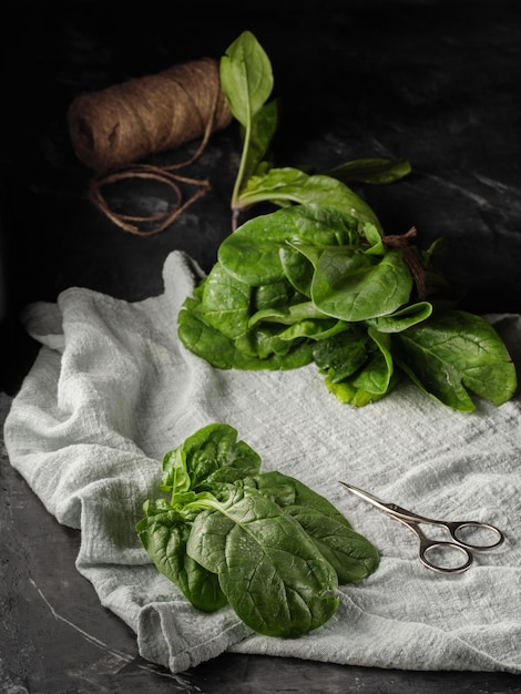 Fresh spinach on a dark background Vertical photo photo Copy space