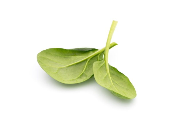 Fresh spinach isolated on the white.