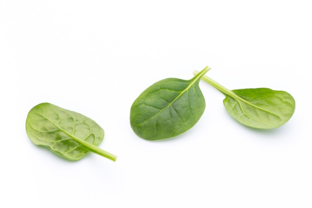 Fresh spinach isolated on the white.