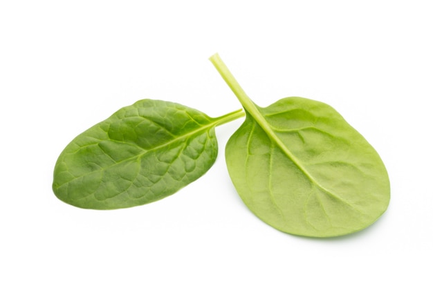 Fresh spinach isolated on the white.