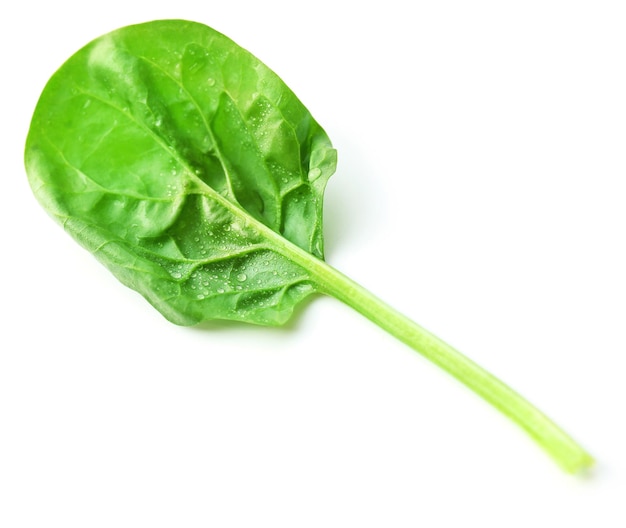 Photo fresh spinach leaf isolated on white