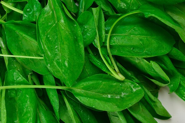 Fresh spinach leaves as background.