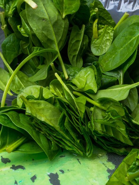 Fresh spinach leaves organic food close up