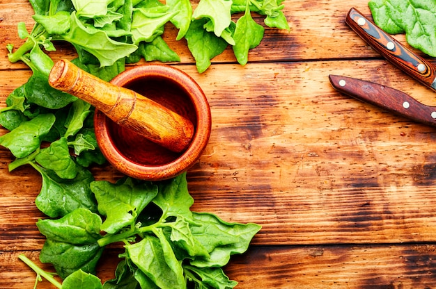 Fresh spinach leaves on rustic wooden table.Copy space