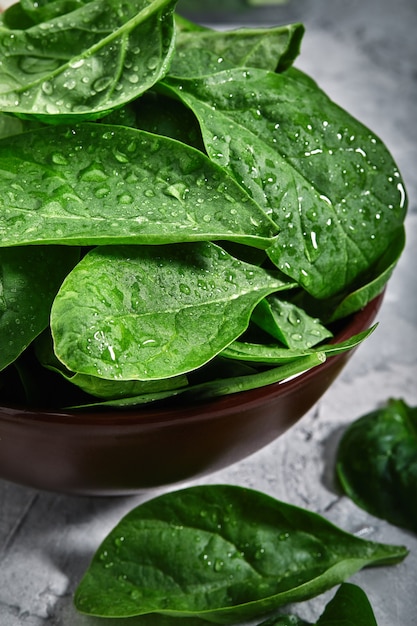 Foglie di spinaci freschi, con gocce di rugiada, primo piano, dieta vegetariana consegna di generi alimentari con foto di primo piano di erbe per negozi di consegna.