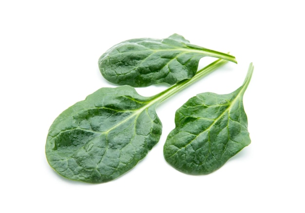 Fresh spinach leaves