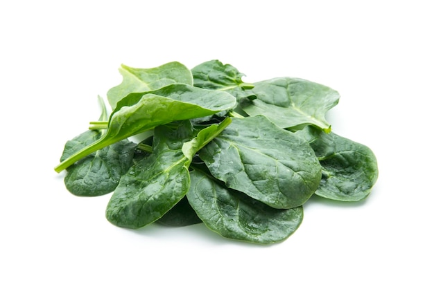 Fresh spinach leaves