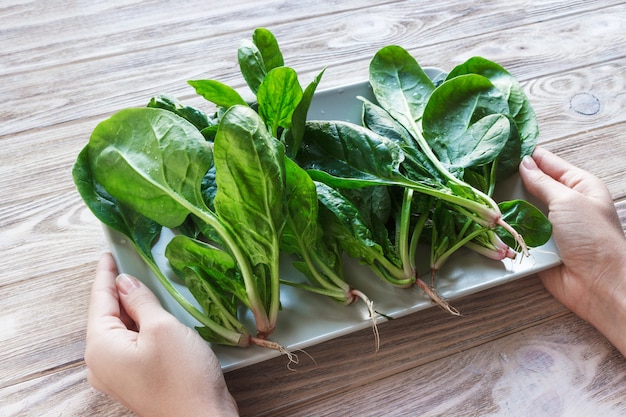 Fresh spinach in a plate on rustic wood