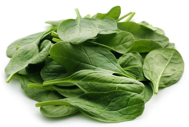 Fresh Spinach over white background