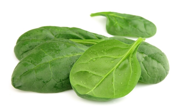 Fresh spinach with water drops on a white background
