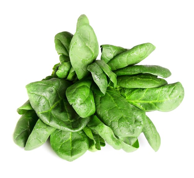 Photo fresh spinach with water drops