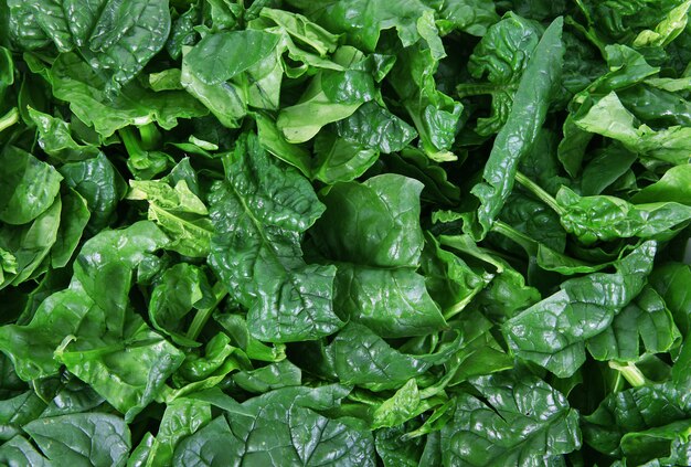 Fresh spinach