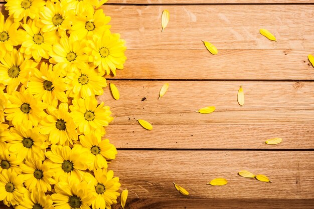 Fresh spring flowers and petals on rustic wood