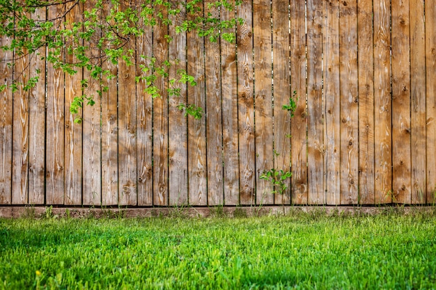 ウッドフェンスの上の新鮮な春の緑の草の葉植物