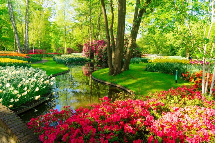 Photo fresh spring lawn with blooming with white daffodil flowers various tulips under green tree in formal garden water spring in background retro toned