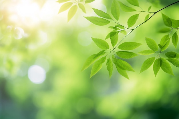 부드러운 녹색 배경에 신선한 봄 잎 생성 AI
