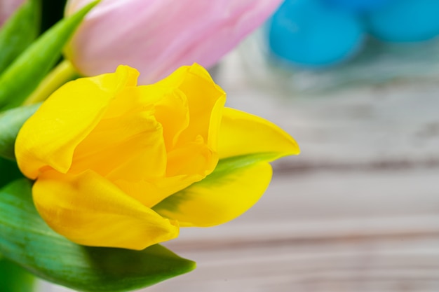 Fresh spring tulip buds against white brick wall close up