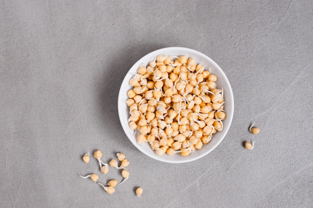 Fresh sprouted chickpea on the gray table