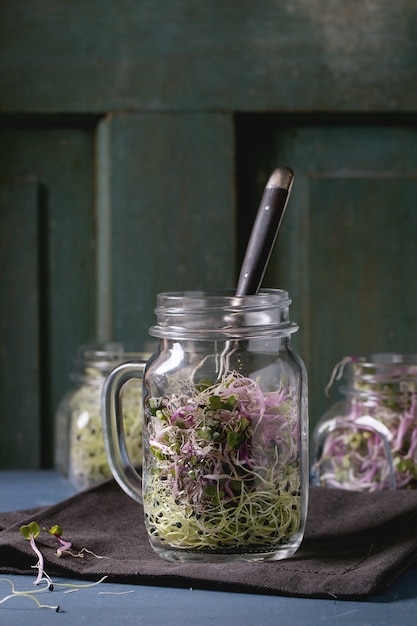 Fresh  Sprouts in mason jar