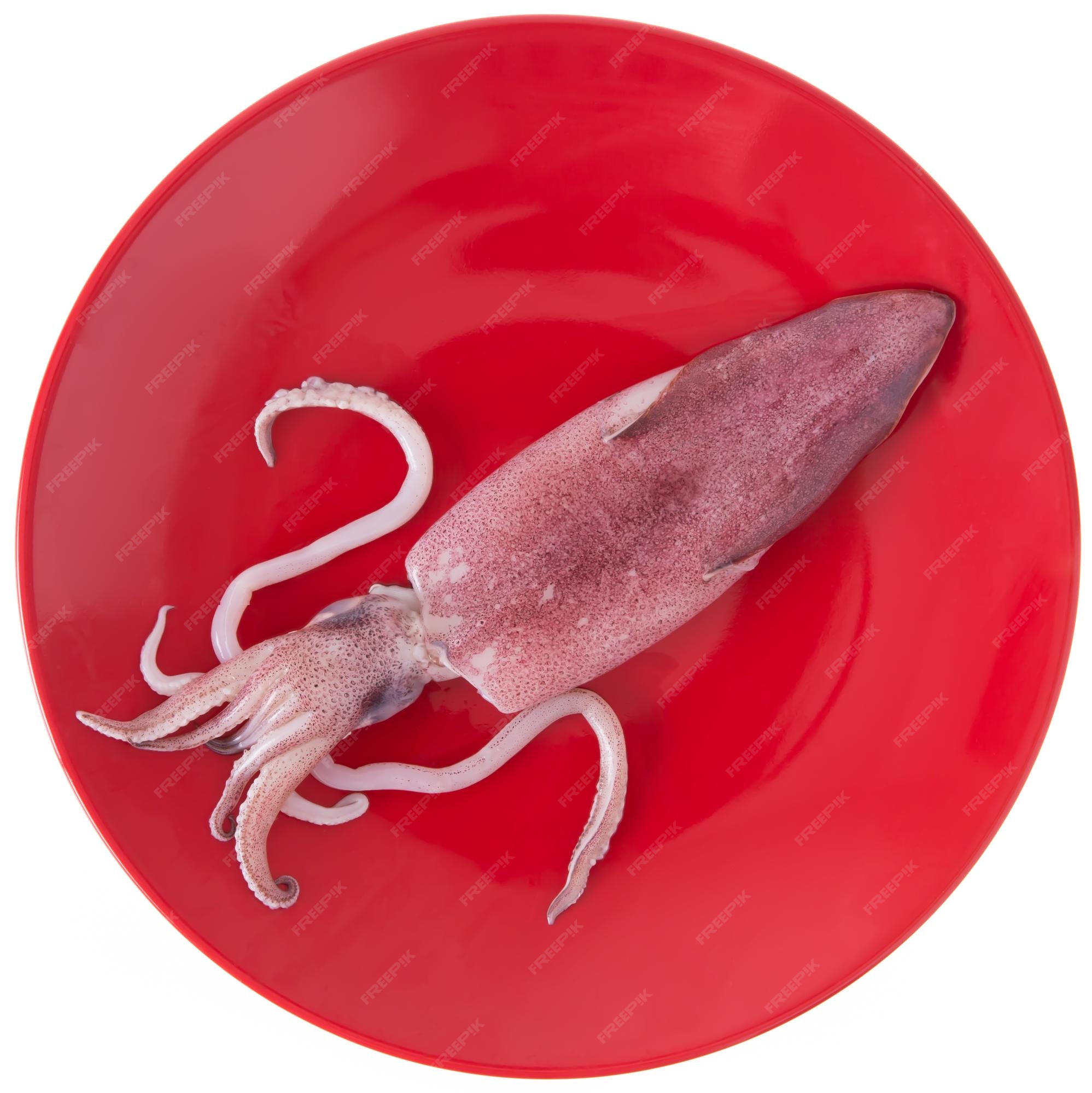 Premium Photo | Fresh squid on a dish isolated on white background