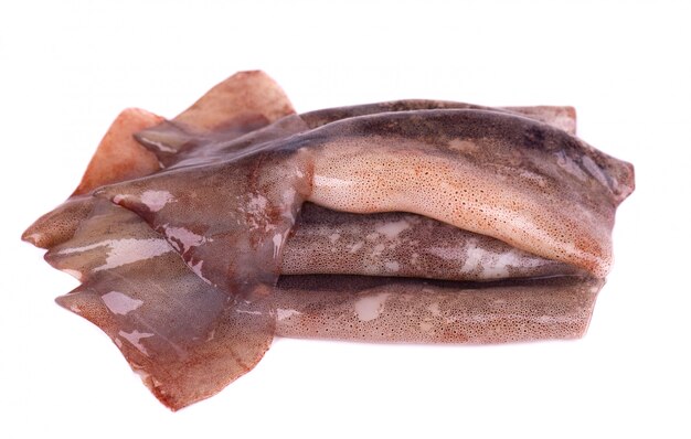 흰 배경에 고립 된 신선한 오징어