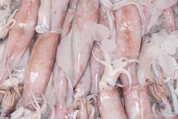 Fresh squid at the market