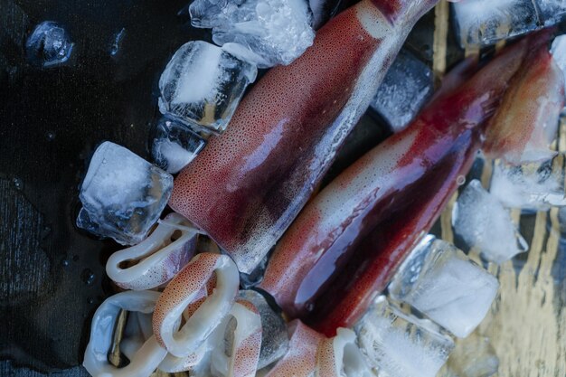 Fresh squid with crushed ice on a dark background