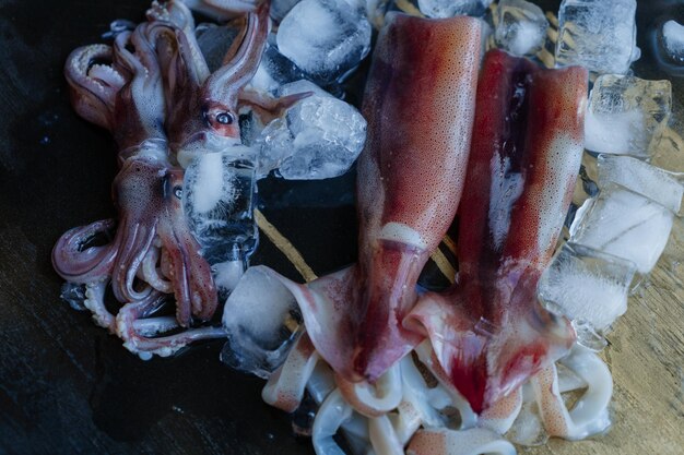 Fresh squid with crushed ice on a dark background