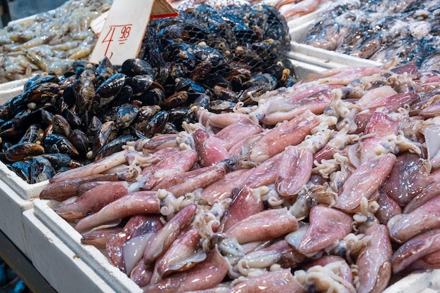 사진 그리스 아테네의 해산물 시장에서 얼음 카운터에 놓인 신선한 오징어와 조개