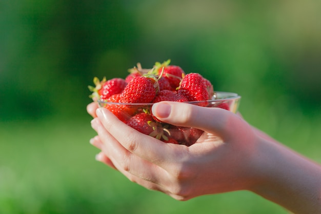 Fresh stawberry on hand