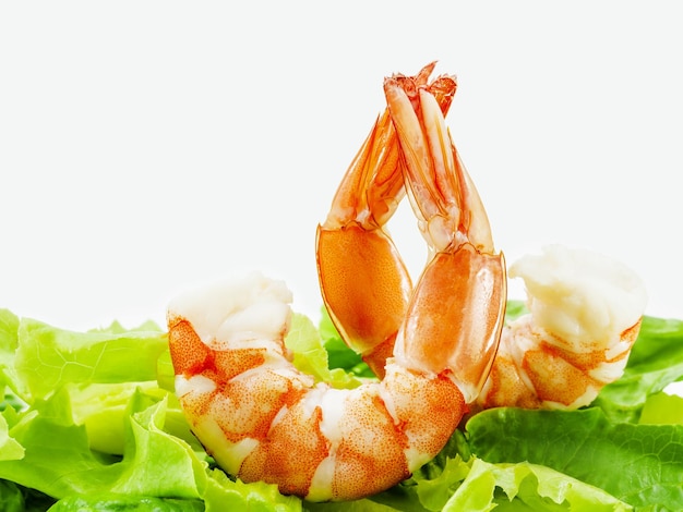 Fresh steamed prawns with vegetable salad isolate on white background Boiled shrimp with mixed green salad Selective focus depth of field