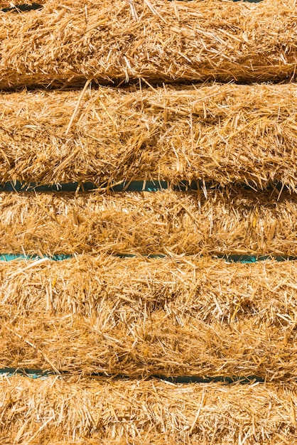 신선한 짚 건초 bales 배경 선택적 초점 샷
