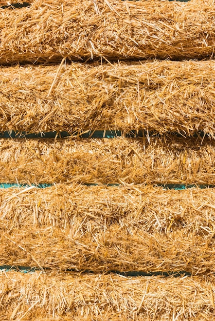 Fresh straw hay bales background Shot with a selective focus