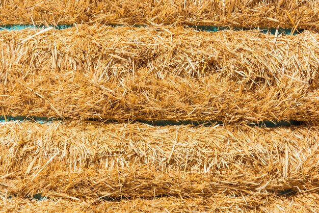 Fresh straw hay bales background