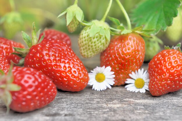 Fresh strawberries and flowers on a plank