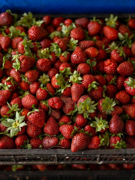 Fresh strawberries at the local market