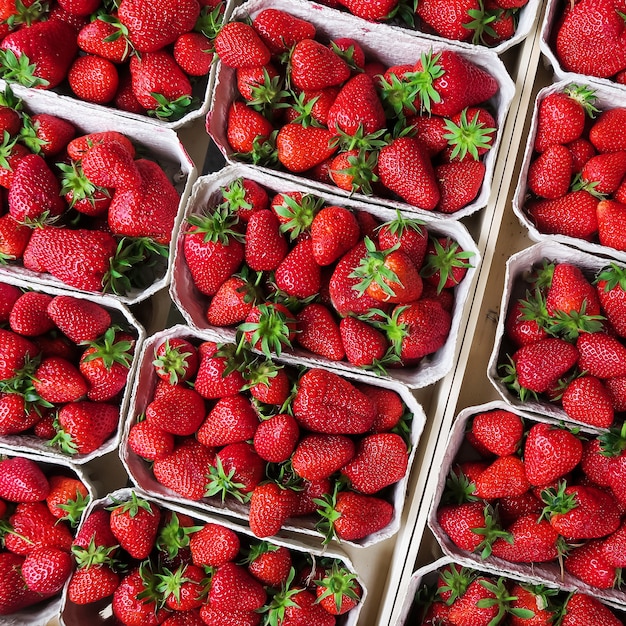 Fresh Strawberries at the Market